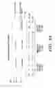 Fig. 04 - ENZYME