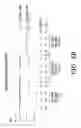 Fig. 05 - ENZYME