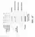 Fig. 10 - ENZYME