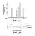Fig. 16 - ENZYME