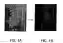 Fig. 02 - Human cell strains for protein production, provided by selecting strains with high intracellular protein and mutating with carcinogens