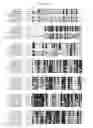 Fig. 07 - Polynucleotides encoding a novel human G-protein coupled receptor splice variant, HGPRBMY29SV2