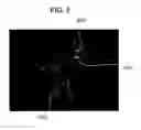 Fig. 05 - MUTANT PROTEIN HAVING DIAPHORASE ACTIVITY