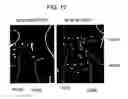 Fig. 10 - MUTANT PROTEIN HAVING DIAPHORASE ACTIVITY