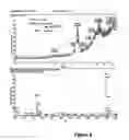 Fig. 09 - Kahalalide-producing bacteria
