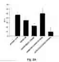 Fig. 07 - Method of detecting AZT resistance in HIV