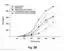Fig. 08 - Method of detecting AZT resistance in HIV