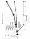 Fig. 02 - Stabilizers for polymerizable biocompatible materials