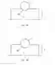 Fig. 07 - Cellular tissue culture systems for high-volume processing