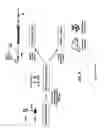 Fig. 05 - Methods of constructing a gene mutation library and compounds and compositions thereof