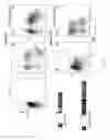 Fig. 04 - Methods and compositions relating to restricted expression lentiviral vectors and their applications