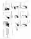Fig. 05 - Methods and compositions relating to restricted expression lentiviral vectors and their applications