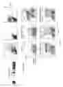 Fig. 06 - Methods and compositions relating to restricted expression lentiviral vectors and their applications