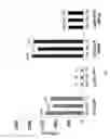 Fig. 10 - Methods and compositions relating to restricted expression lentiviral vectors and their applications