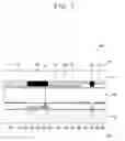 Fig. 08 - Mold and manufacturing method for display device