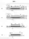 Fig. 07 - Manufacturing method of semiconductor device
