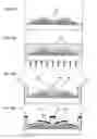 Fig. 14 - Method for manufacturing thin film transistor