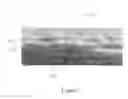 Fig. 07 - Poly filled substrate contact on SOI structure