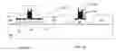 Fig. 01 - Pseudomorphic Si/SiGe/Si body device with embedded SiGe source/drain