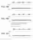 Fig. 94 - Processed wafer via