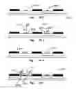 Fig. 23 - Rapid patterning of nanostructures
