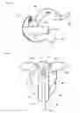 Fig. 12 - Transformable toy