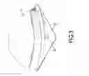 Fig. 04 - Brassiere box