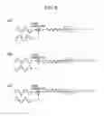 Fig. 05 - Fm signal demodulation method and device thereof
