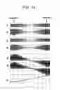 Fig. 15 - Fm signal demodulation method and device thereof