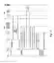 Fig. 12 - Optimal voicemail deposit for roaming cellular telephony