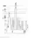 Fig. 13 - Optimal voicemail deposit for roaming cellular telephony