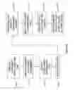 Fig. 07 - Game and prizing method