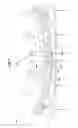 Fig. 04 - Putter training apparatus and method of use