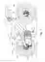 Fig. 02 - Auxiliary bicycle shifting component