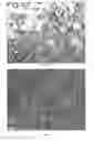 Fig. 02 - UV curable coating material of encapsulated water dispersed core material