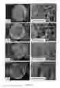 Fig. 22 - Superconducting composite