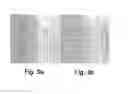 Fig. 04 - Glatiramer acetate for use as an immuno-modulatory agent