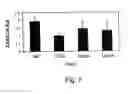 Fig. 08 - Glatiramer acetate for use as an immuno-modulatory agent