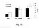 Fig. 17 - Glatiramer acetate for use as an immuno-modulatory agent