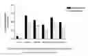 Fig. 05 - Conotoxin analogues and methods for synthesis of intramolecular dicarba bridge-containing peptides
