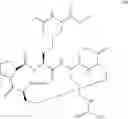 Fig. 166 - Conotoxin analogues and methods for synthesis of intramolecular dicarba bridge-containing peptides
