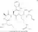 Fig. 56 - Conotoxin analogues and methods for synthesis of intramolecular dicarba bridge-containing peptides