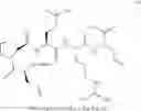 Fig. 66 - Conotoxin analogues and methods for synthesis of intramolecular dicarba bridge-containing peptides