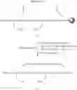 Fig. 80 - Conotoxin analogues and methods for synthesis of intramolecular dicarba bridge-containing peptides