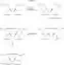 Fig. 15 - Conjugates And Therapeutic Uses Thereof