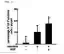 Fig. 03 - Differentiation- or regeneration-inducing agent for alveoli