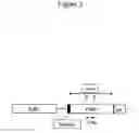 Fig. 03 - Method of treating arthritis and promoting growth of articular chondrocytes