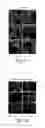 Fig. 03 - Dynamin mediated diseases and associated methods and products
