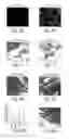 Fig. 05 - Dynamin mediated diseases and associated methods and products