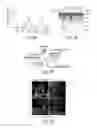 Fig. 09 - Dynamin mediated diseases and associated methods and products